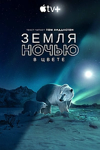 Земля ночью в цвете (2020)