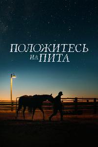 Положитесь на Пита (2017)