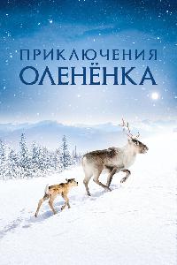 Приключения оленёнка (2018)