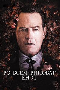 Во всем виноват енот (2016)