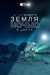 Земля ночью в цвете (2020)