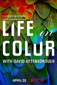 Жизнь в цвете с Дэвидом Аттенборо (2021)